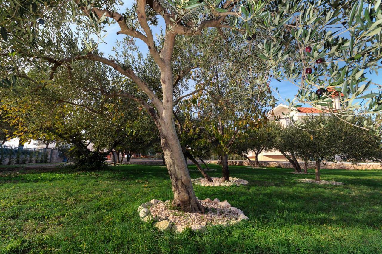 Villa Dream سريما المظهر الخارجي الصورة
